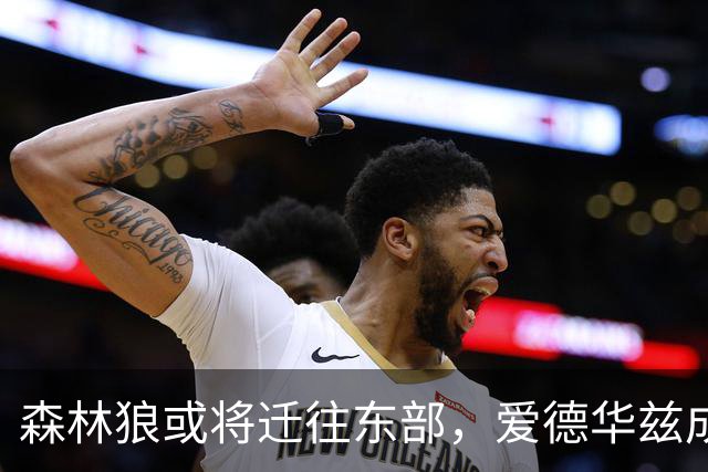 森林狼或将迁往东部，爱德华兹成为关键因素